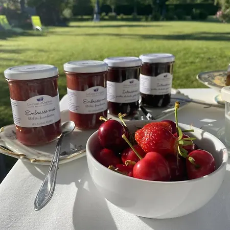 La Maison D'aline - Honfleur - Maison D'hote De Charme A La Normande 4* Pennedepie