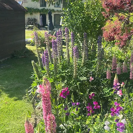 게스트하우스 La Maison D'aline - Honfleur - Maison D'hote De Charme A La Normande