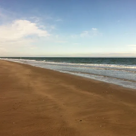 La Maison D'aline - Honfleur - Maison D'hote De Charme A La Normande Penzion