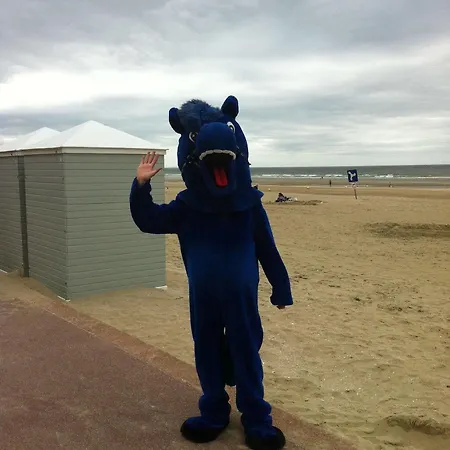 La Maison D'aline - Honfleur - Maison D'hote De Charme A La Normande 3* Pennedepie